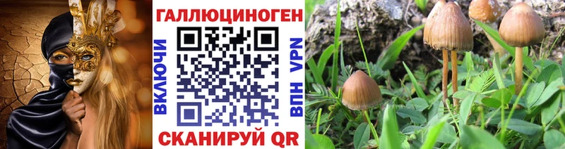 Галлюциногенные грибы Magic Shrooms  Бологое 